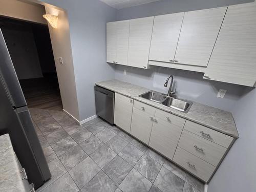 140 725 James Street S, Thunder Bay, ON - Indoor Photo Showing Kitchen With Double Sink