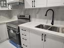 Lower Level - 19 Masterson Drive, St. Catharines (Glendale/Glenridge), ON  - Indoor Photo Showing Kitchen With Double Sink 