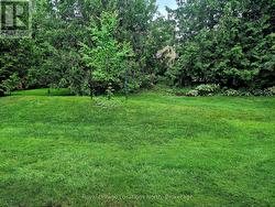 Walk Out from Bedroom - 