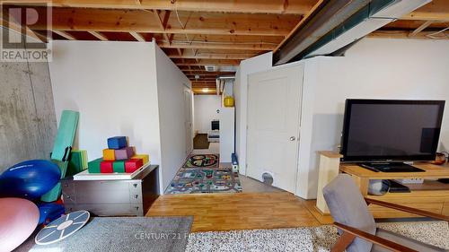 120 Edison Street, St. Marys, ON - Indoor Photo Showing Basement