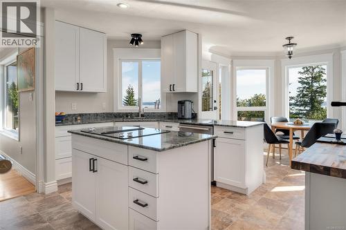 New cabinets & appliances! Beautiful labradorite countertop - 10091 View St, Chemainus, BC - Indoor Photo Showing Kitchen