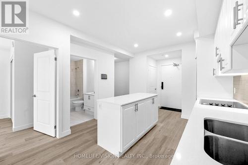 202 - 461 Green Road, Hamilton, ON - Indoor Photo Showing Kitchen