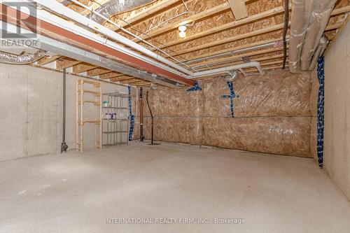 138 Flagg Avenue, Brant, ON - Indoor Photo Showing Basement
