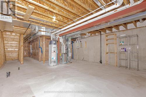 138 Flagg Avenue, Brant, ON - Indoor Photo Showing Basement