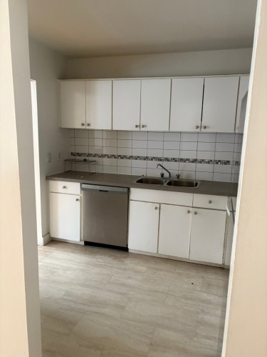 Cuisine - 101-200 Rue Corot, Montréal (Verdun/Île-Des-Soeurs), QC - Indoor Photo Showing Kitchen With Double Sink