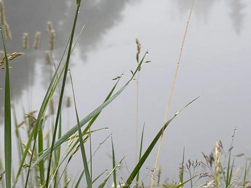 446 Fox River Road, Murray Harbour, PE 