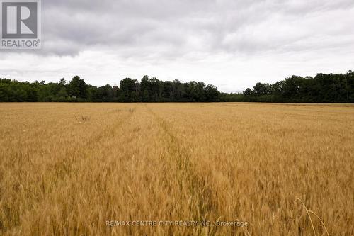 Pt Lt 6 Concession 8 Road, Elizabethtown-Kitley, ON 