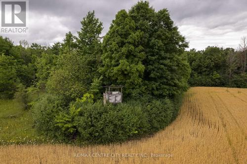 Pt Lt 6 Concession 8 Road, Elizabethtown-Kitley, ON 