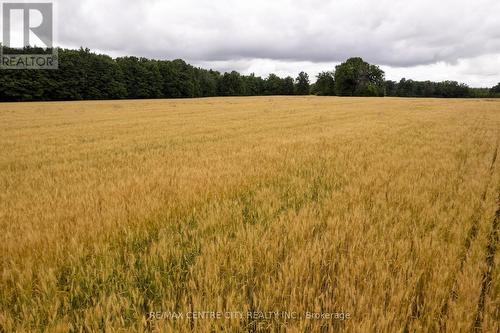 Pt Lt 6 Concession 8 Road, Elizabethtown-Kitley, ON 