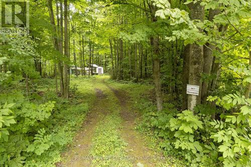 Pt Lt 6 Concession 8 Road, Elizabethtown-Kitley, ON 