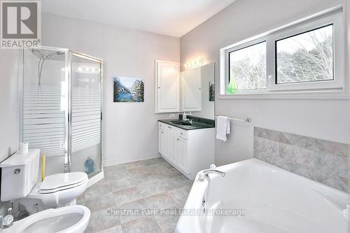 189 Point Road, Grey Highlands, ON - Indoor Photo Showing Bathroom
