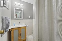 Lower level bathroom - 