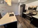 204 1010 Main Street E, Saskatoon, SK  - Indoor Photo Showing Kitchen With Stainless Steel Kitchen With Double Sink 