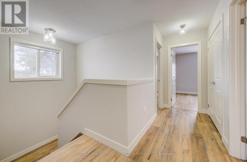 A - 33 Second Avenue, Kitchener, ON - Indoor Photo Showing Other Room