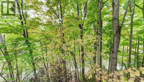 177 Piper Street, Ayr, ON - Outdoor