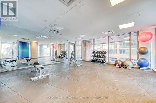706 - 150 East Liberty Street, Toronto, ON - Indoor Photo Showing Gym Room