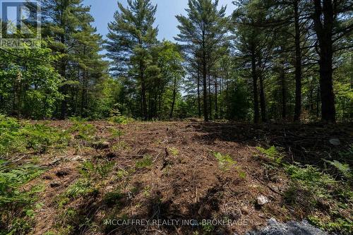 9804 Highway 38, Frontenac (Frontenac Centre), ON 