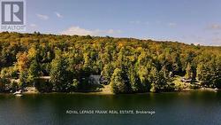 1758 PAPINEAU LAKE ROAD  Hastings Highlands (Wicklow Ward), ON K0L 2R0