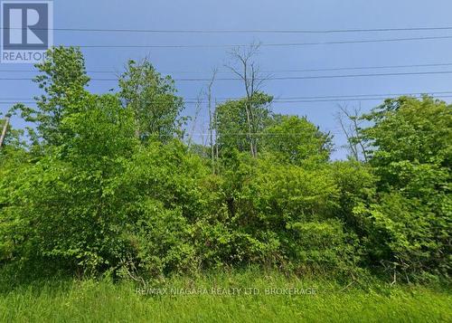 Treed lot - Pt Lt 4 E/S Helena Street, Fort Erie (Lakeshore), ON 