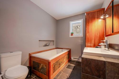 Salle de bains - 147 Ch. De La Vallée, Sutton, QC - Indoor Photo Showing Bathroom