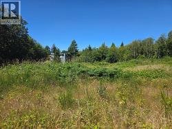 Lot 0 FERNWOOD AVE  Powell River, BC V8A 3L8