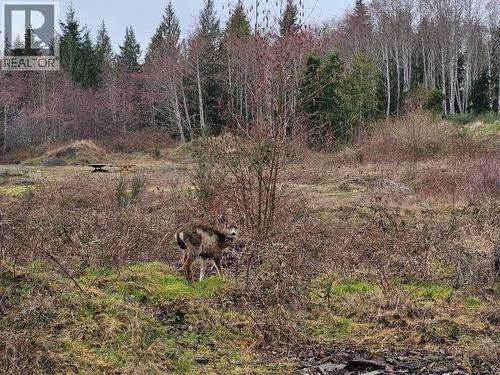 Lot 0 Fernwood Ave, Powell River, BC 