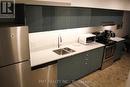 Bsmt - 445 Ontario Street, Toronto, ON  - Indoor Photo Showing Kitchen With Double Sink 