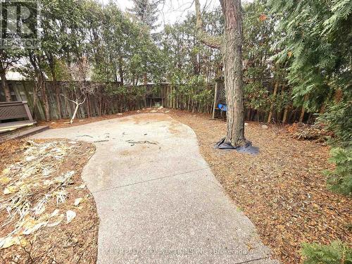 Backyard - 2425 Headon Forest Drive, Burlington, ON - Outdoor