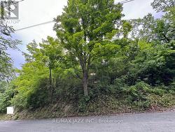 0 MAPLE STREET  Trent Hills (Campbellford), ON K0L 1L0