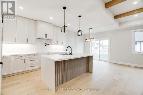 303 Nancy Street, Dutton/Dunwich, ON - Indoor Photo Showing Kitchen With Upgraded Kitchen