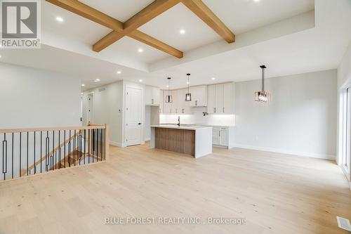 303 Nancy Street, Dutton/Dunwich, ON - Indoor