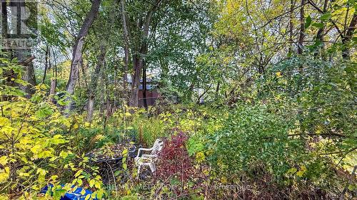 143 Kalmar Avenue, Toronto, ON - Outdoor