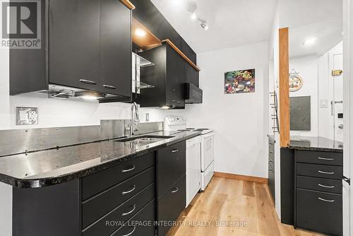 207 - 1180 Ohio Street, Ottawa, ON - Indoor Photo Showing Kitchen With Double Sink
