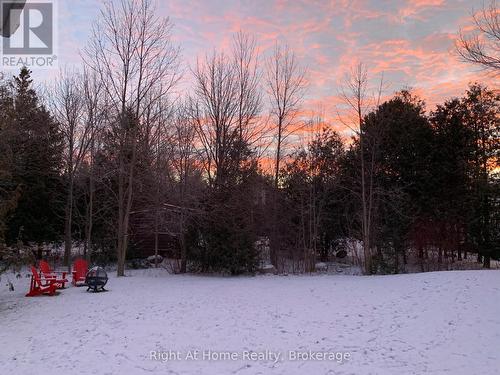 65 Slalom Gate Road, Collingwood, ON - Outdoor With View