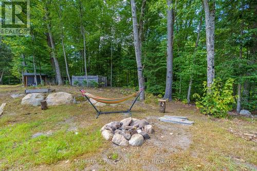 2698 Old Muskoka Road, Huntsville (Stephenson), ON - Outdoor