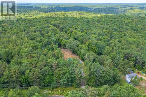 2698 Old Muskoka Road, Huntsville (Stephenson), ON - Outdoor With View
