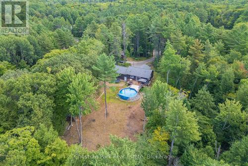 2698 Old Muskoka Road, Huntsville (Stephenson), ON - Outdoor With View