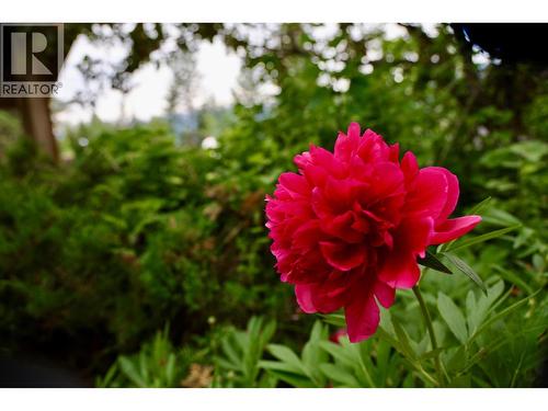 1529 Quartz Crescent, Golden, BC - Outdoor