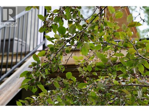 1529 Quartz Crescent, Golden, BC - Outdoor