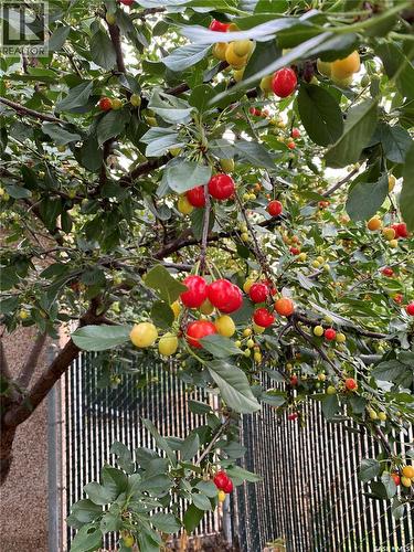 14 Yale Crescent, Saskatoon, SK - Outdoor