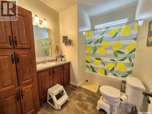 202 Saskatchewan Avenue, Pangman, SK - Indoor Photo Showing Bathroom