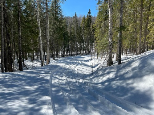 Terre/Terrain - Ch. Morissette, Saint-Michel-Des-Saints, QC 