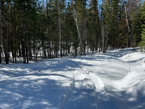 Terre/Terrain - Ch. Morissette, Saint-Michel-Des-Saints, QC 