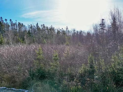 255 Shad Point Parkway, Blind Bay, NS 