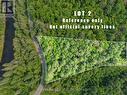 Lot 2 Old Victoria Road, Bracebridge (Oakley), ON 