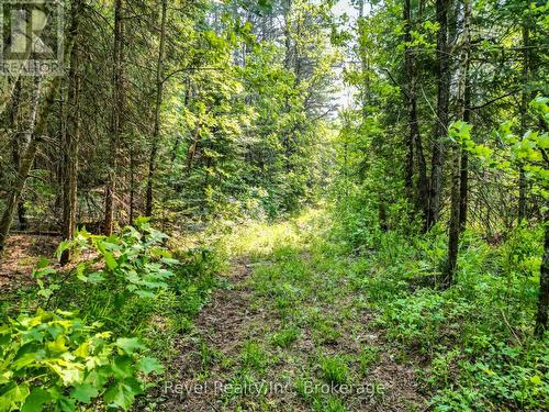 Lot 2 Old Victoria Road, Bracebridge (Oakley), ON 