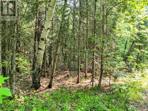 Lot 2 Old Victoria Road, Bracebridge (Oakley), ON 