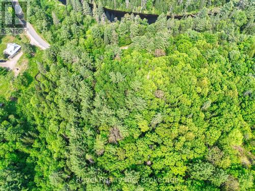 Lot 2 Old Victoria Road, Bracebridge (Oakley), ON 