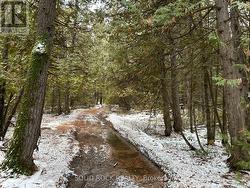 0 NO ADDRESS ROAD  Mcnab/Braeside, ON K7S 3G8