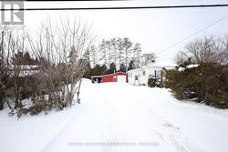 Driveway into property bordered by trees - 